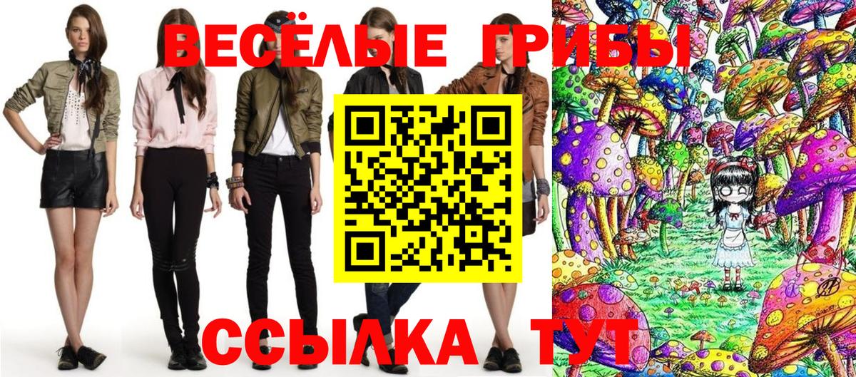 Бузулук  Галлюциногенные грибы Cubensis  Вход с VPN 